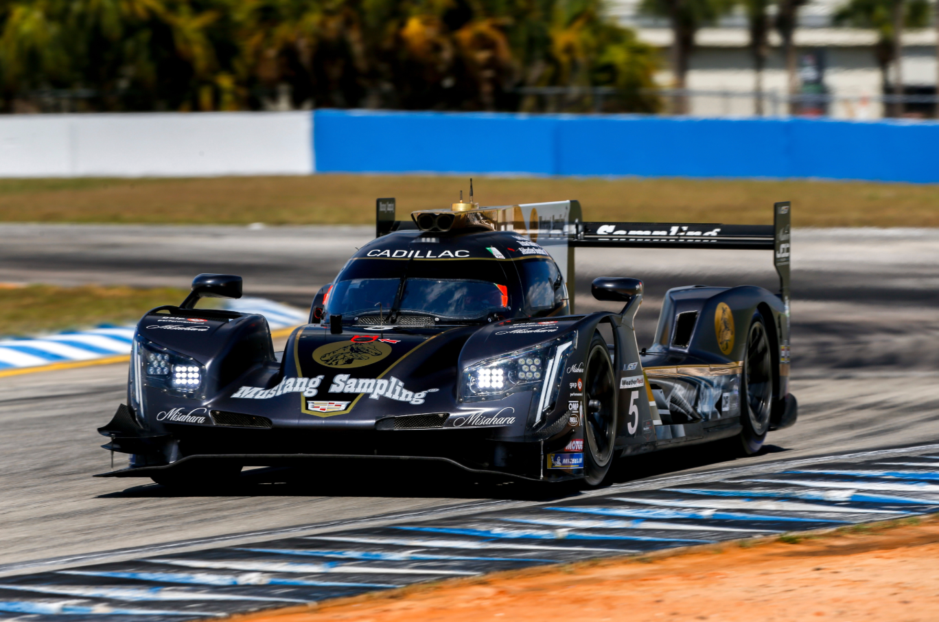 Cadillac DPi-V.R No.5 – Rolex 24 Daytona | Pipo Derani / Tristan Vautier / Richard Westbrook 1:43